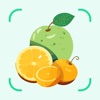 FruitVegetableSnap -Identifier