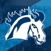 Mount Mercy Mustangs