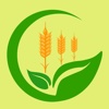 绿色经济农业