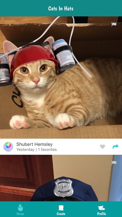 Cats In Hats screenshot 4