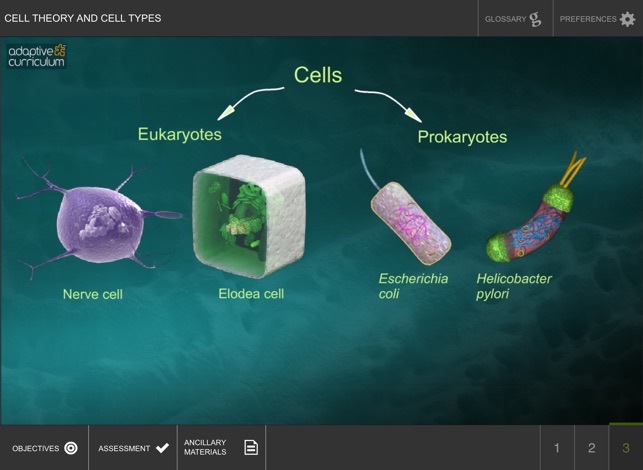 Cell Theory and Cell Types(圖4)-速報App