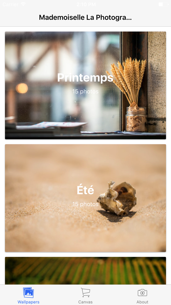 Mademoiselle La Photographe Wallpaper