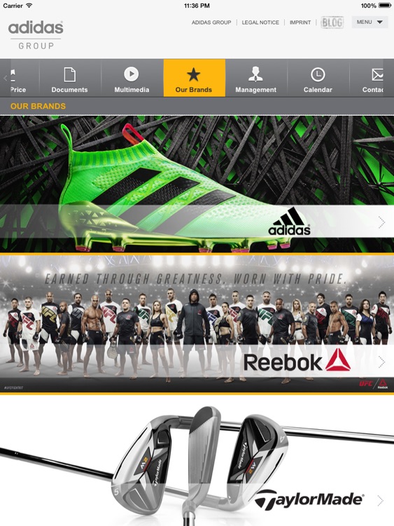 adidas Investor Relations iPad