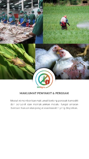 MYAgro Penyakit dan Perosak(圖1)-速報App