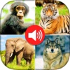 Real Animals Sounds - For Kids