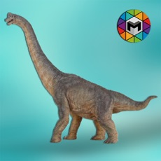 Activities of Diplodocus Simulator