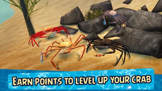 Sea Crab Simulator 3D(圖4)-速報App