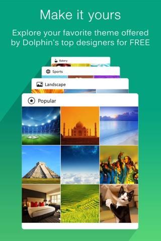 Dolphin Web Browser screenshot 3