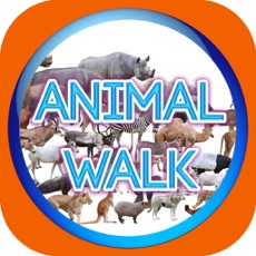 Activities of Animal Walk Touch