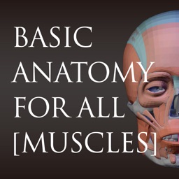 basic anatomy for all [muscles]