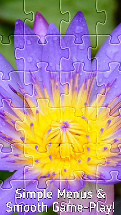 Jigsaw Puzzle Wow