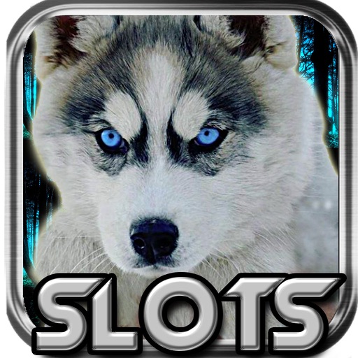 Wild Wolf World Slots: Creed to the Casino Jackpot Icon