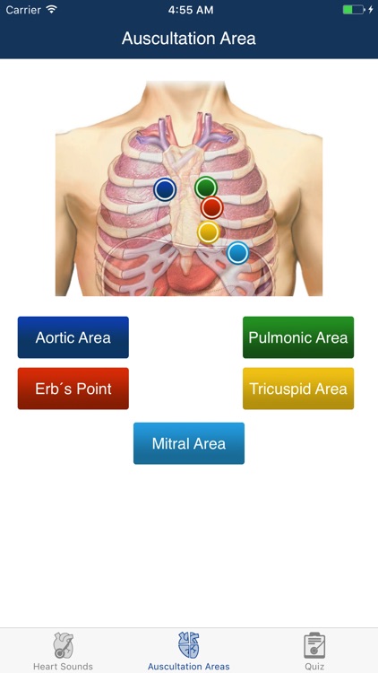 Heart Sounds Auscultation & Quiz