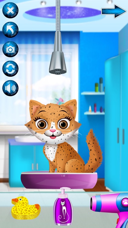 Kitten Spa - Animal Makeover Games (Boys & Girls)