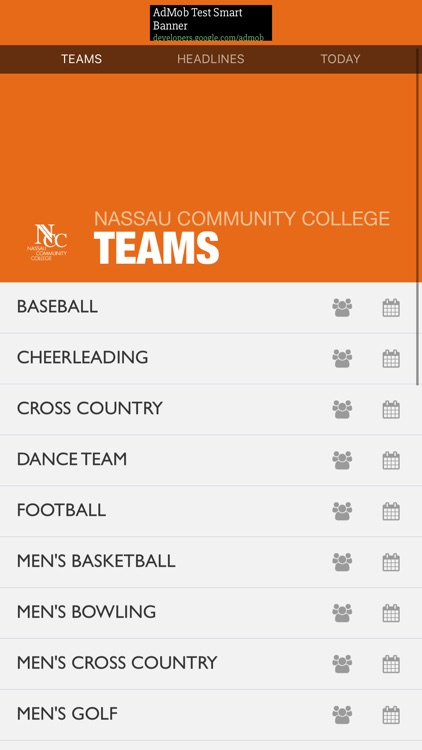 Nassau Community College Lions