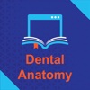 Dental Anatomy Exam Questions 2017