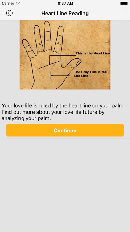 Palm Reader - Scan Your Future