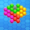 Hexagon Bricks Blocks Puzzle