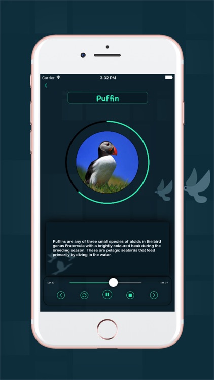 Zoo Voice screenshot-4