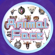Activities of Animal Faces Touch Quiz :: Hit a face of an animal