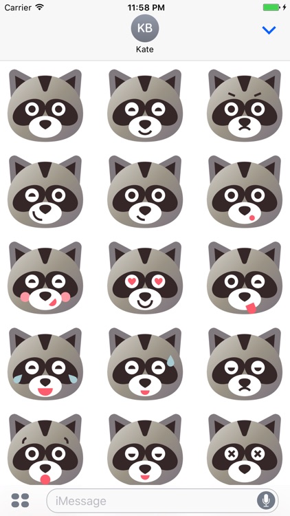 Raccoon Emojis Stickers