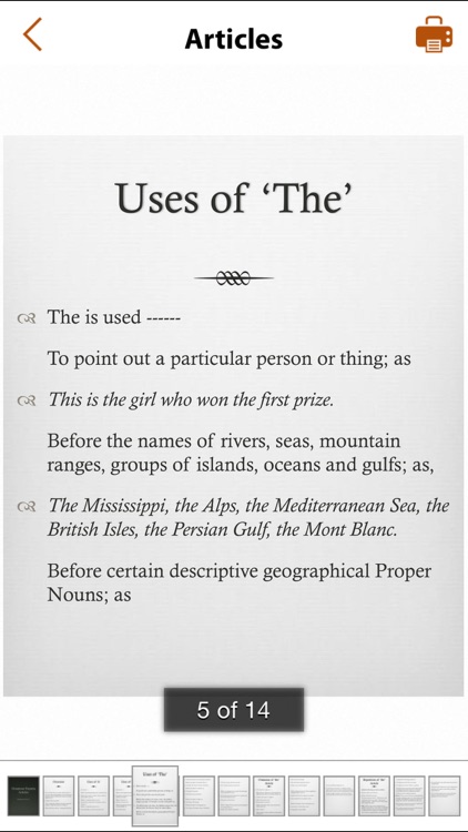 Grammar Express: Articles Lite