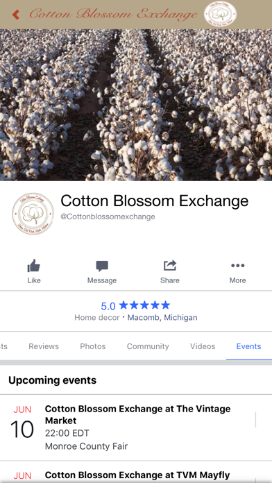 Cotton Blossom Exchange screenshot 3