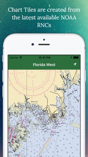 Marine Charts Offline: Florida West Coast(圖3)-速報App