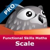 Functional Skills Maths Scale Pro