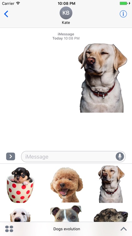 Dogs evolution