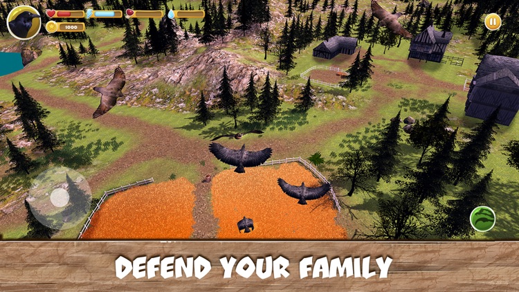 Wild Bird Survival Simulator screenshot-3