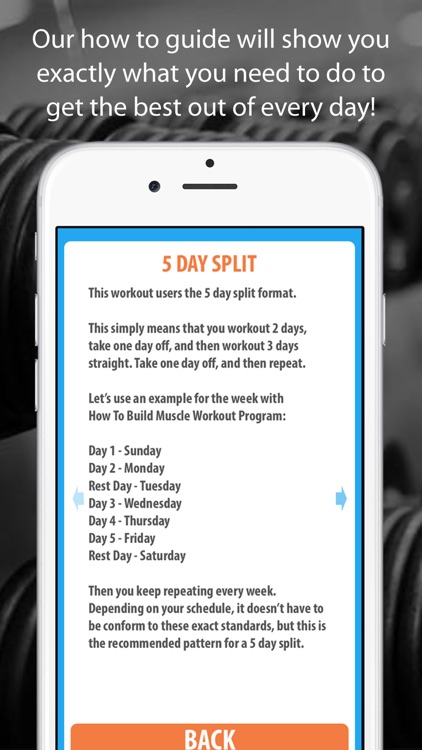 How To Build Muscle Workout Program screenshot-4