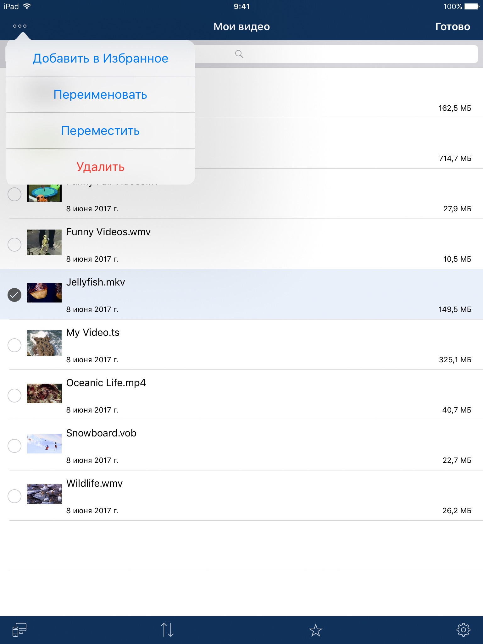 AVPlayer for iPad screenshot 2