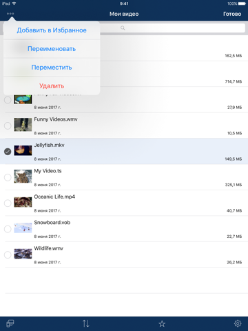 Скриншот из AVPlayer for iPad