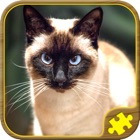 Top 28 Games Apps Like Cat Jigsaw Puzzles - Best Alternatives
