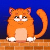 Cute Cat Game