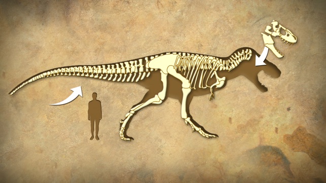 Dinosaur Fossils - History for kids(圖3)-速報App