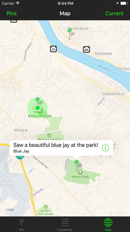 Bird Spotter screenshot-4
