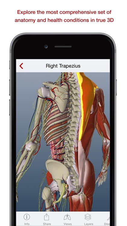 BioDigital 3D Human Anatomy screenshot-0