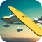 Airplane Flight Pilot Simulation -  3D Flying