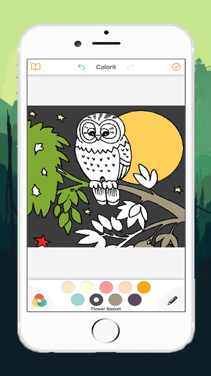 Cute Owl Coloring Drawing Pages for Kid