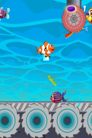 Fish Splashy Jump screenshot 3