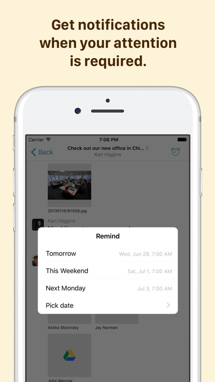 Pyrus screenshot-4