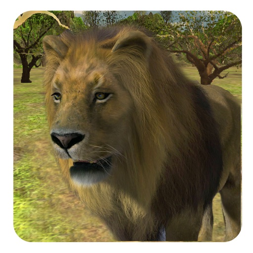 Safari Lion Simulator: Prey Hunting