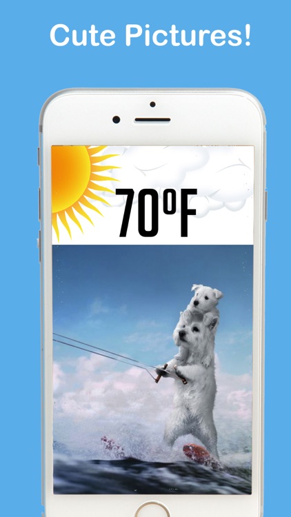 Puppy Weather Live