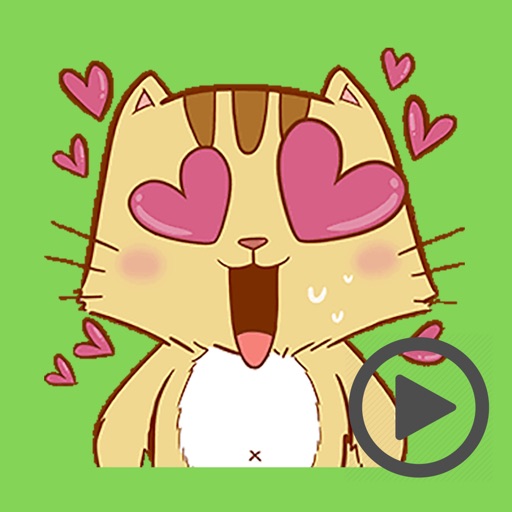 Funny Pipo Cat Animated