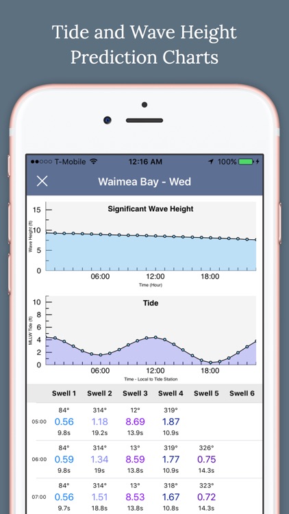 Marine Forecast - NOAA Buoys and Tides