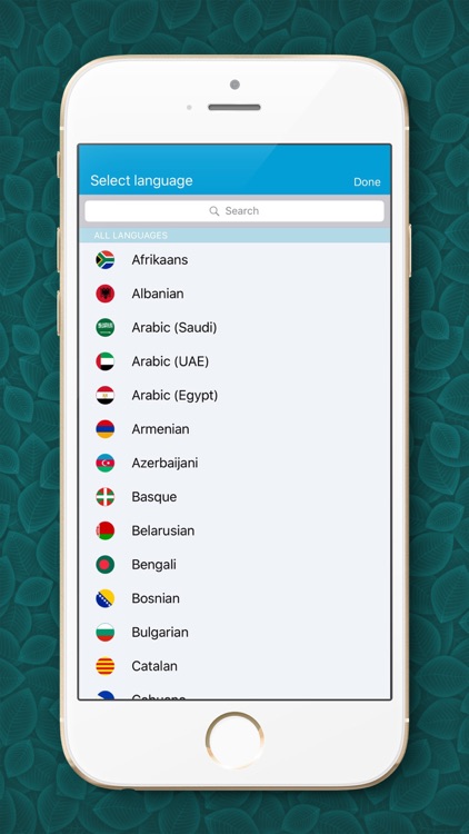 Pro ComboBox - Translator