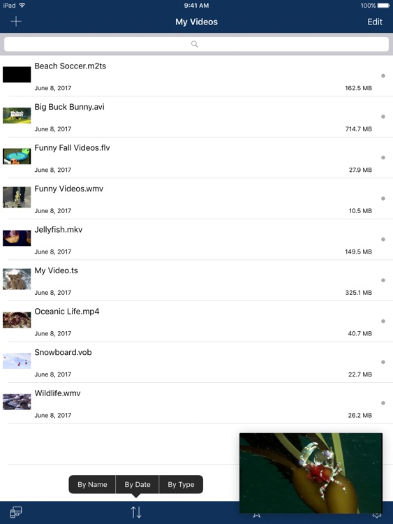 AVPlayer for iPad