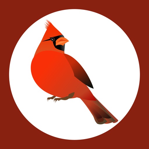 Cardinal bird sounds Icon